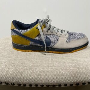 Nike Air Zoom Dunkesto Zen Gray/Navy Mens Size 13 Sneakers 315207 041 RARE